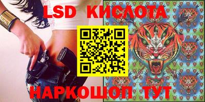 индика Можайск