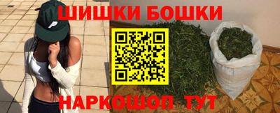 индика Можайск