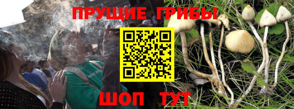 Холмск  Галлюциногенные грибы ЛСД  Вход с VPN 