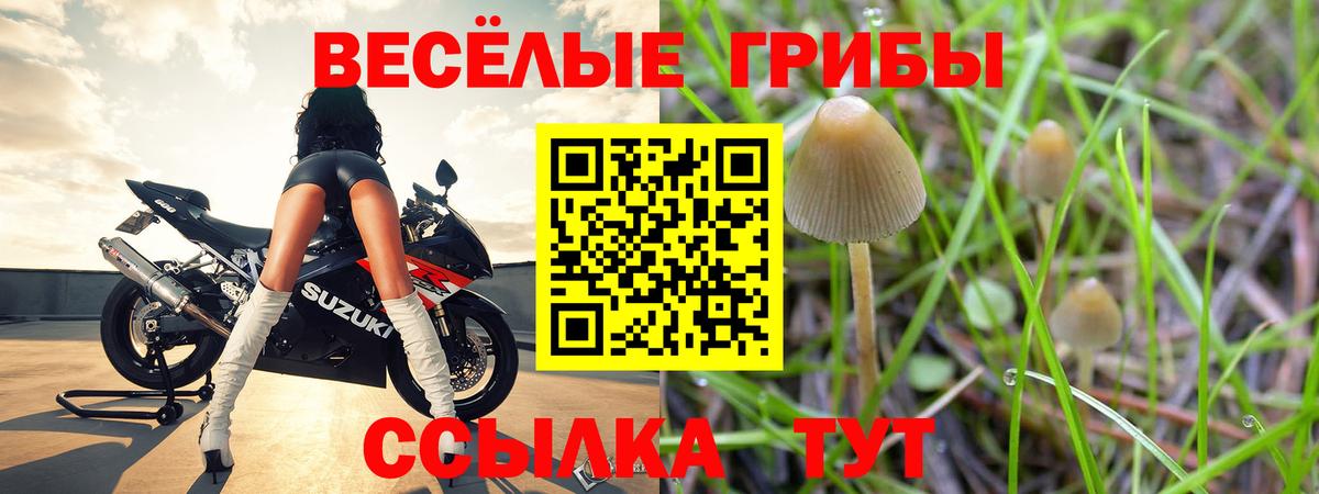 Галлюциногенные грибы мицелий Холмск